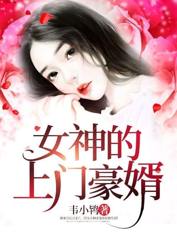 女神的上门豪婿百度百科