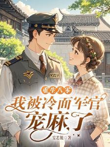 二婚军爷