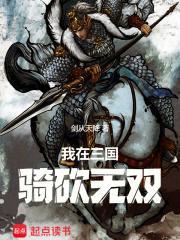 骑马砍杀无双三国攻略