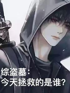 综盗墓的位面